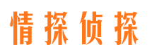 南县侦探公司